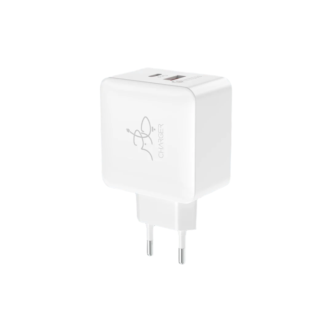 25W Blaze PD Charger